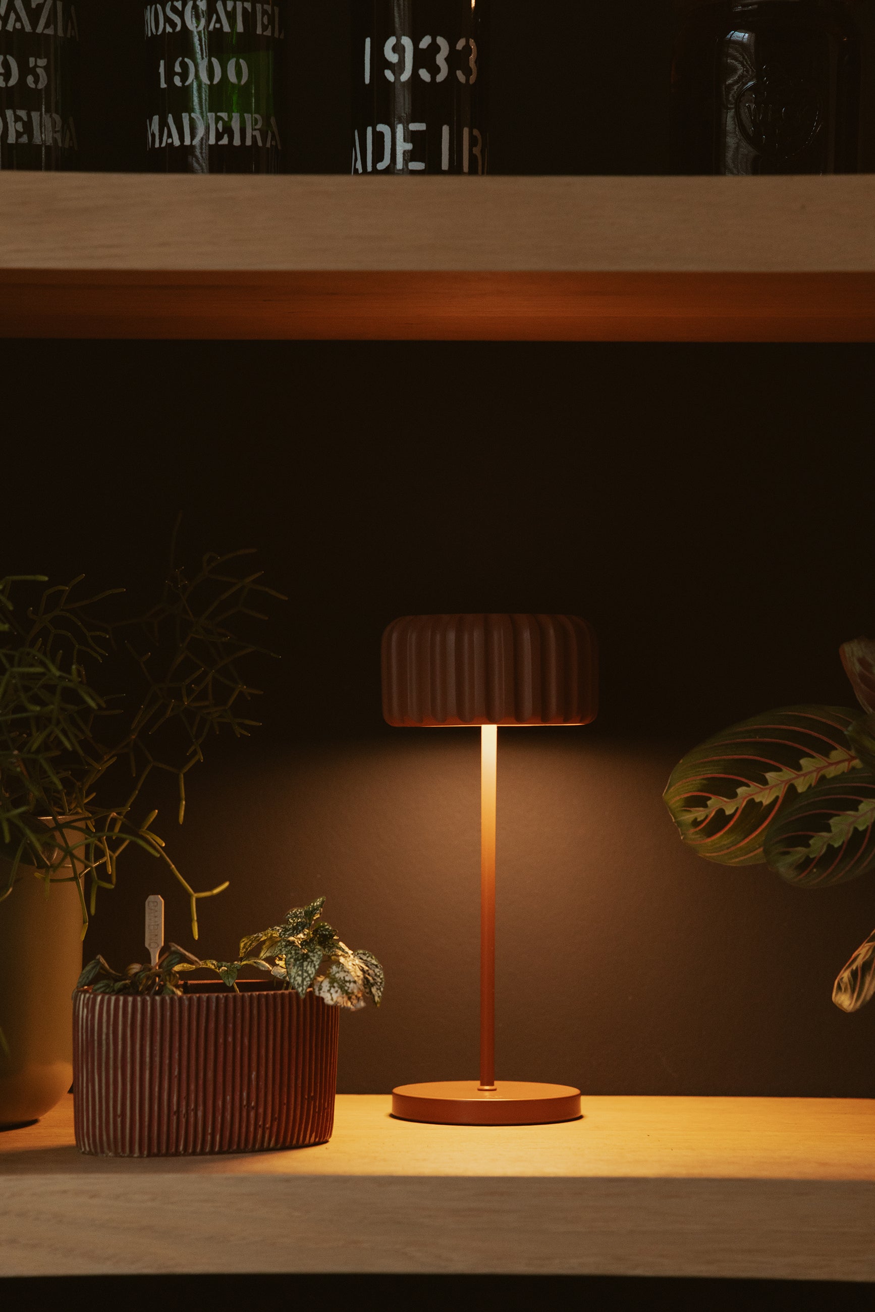 Dentelles Bistro recharge TERRA | 29.5 cm x Ø 12.8 cm