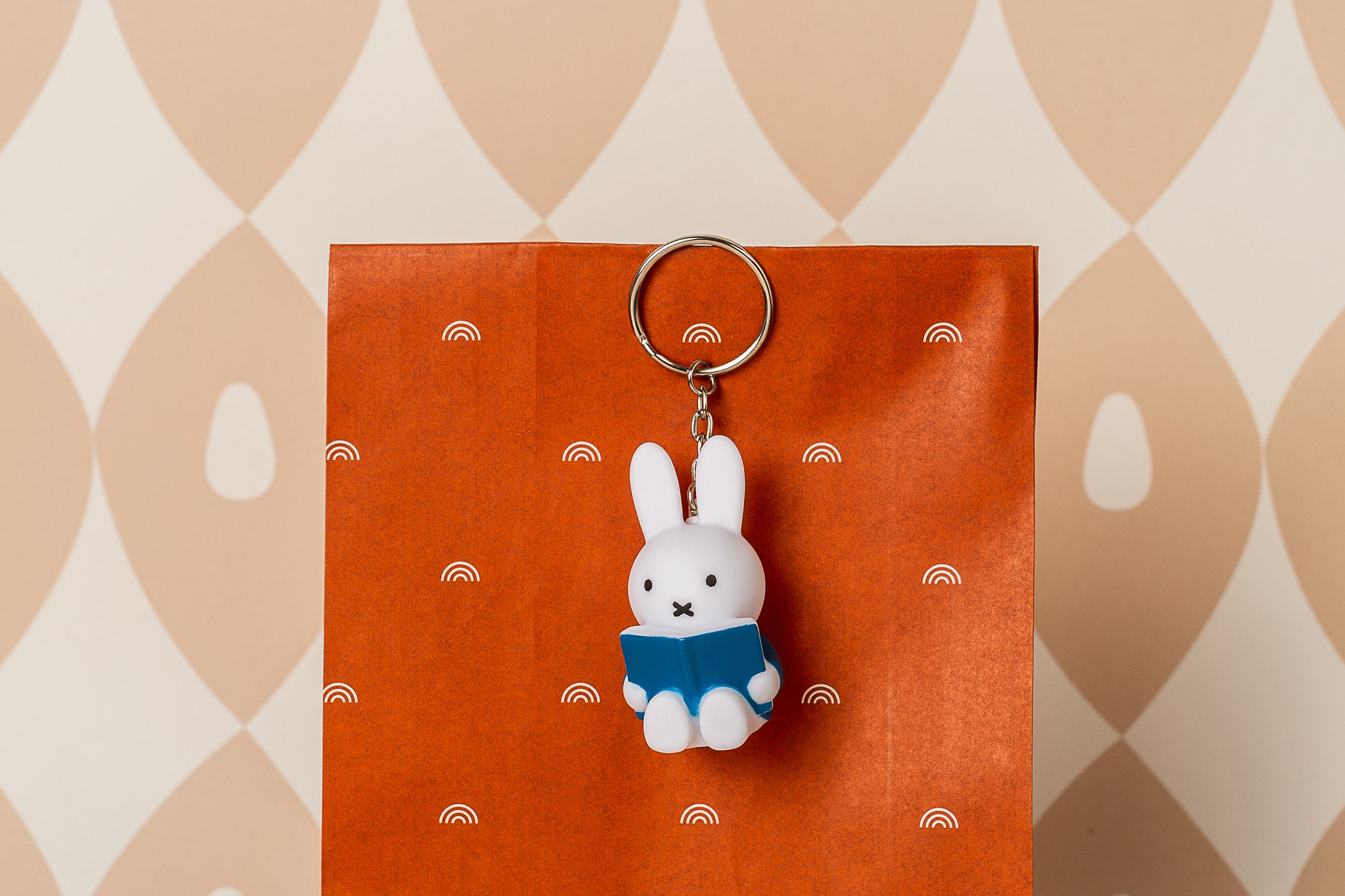 nijntje leest BLAUW Sleutelhanger | H6  Ø 3.3 CM