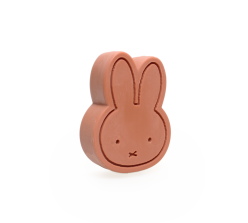 Terra miffy care 